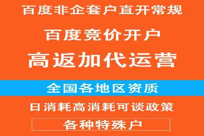 探索百度推广代运营公司的服务模式与优势